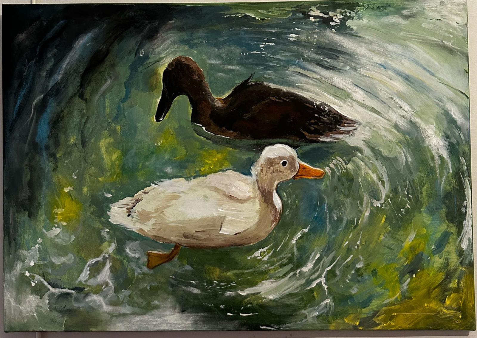 Ördekler-Referans Fotoğraf